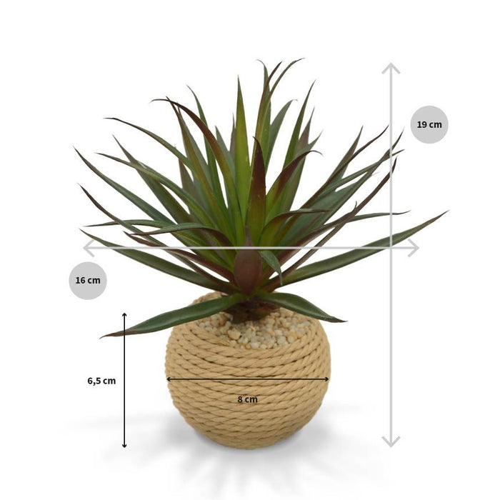 3c5cf186-8249-4f6b-9682-2bd64eeb2440-afbeelding3.jpg (3208158)