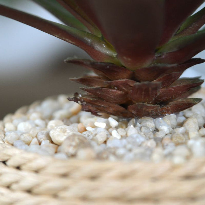 3c5cf186-8249-4f6b-9682-2bd64eeb2440-sfeerbeeld.jpg (3208159)