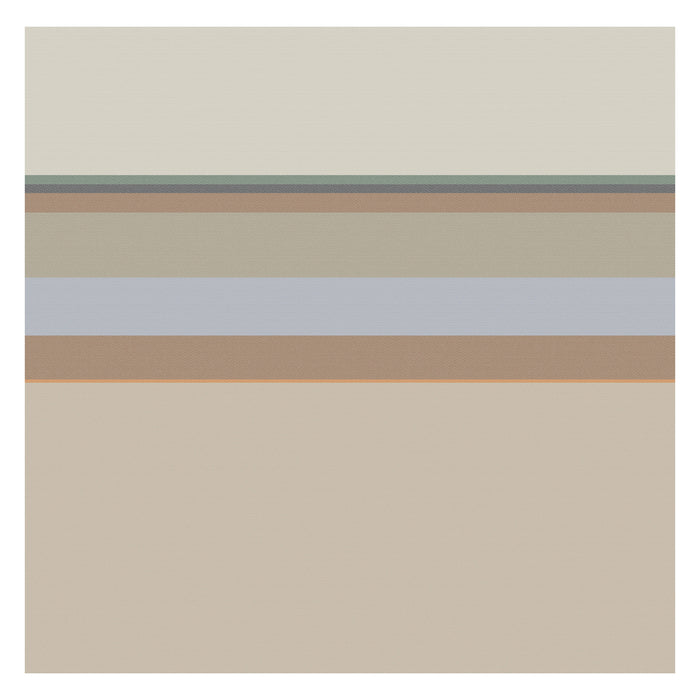 DDDDD theedoek Rico - 60x65cm - Sand - 6 stuks