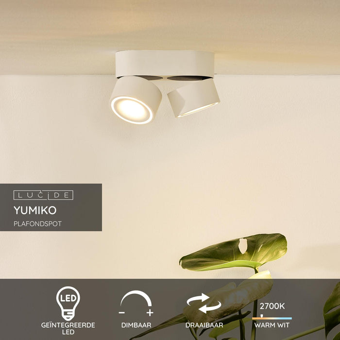 23f50e1f-8e5f-4852-9504-08c7552168bb-sfeerbeeld.jpg (3222820)