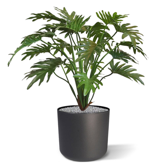 76ff2cb5-d8eb-4476-a686-70c6e71b4588-afbeelding3.jpg (3229661)