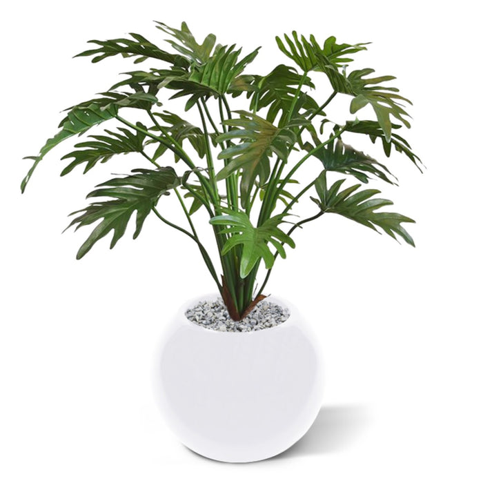 76ff2cb5-d8eb-4476-a686-70c6e71b4588-afbeelding4.jpg (3229662)