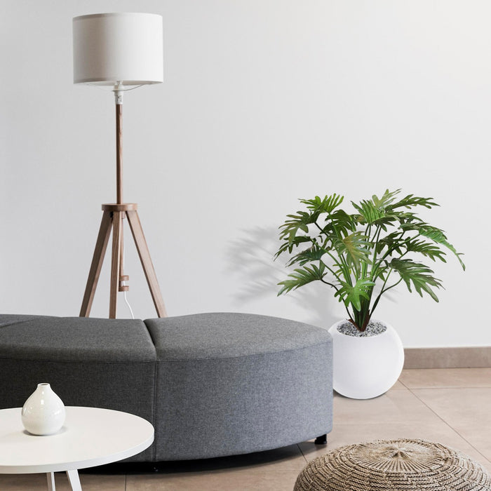 76ff2cb5-d8eb-4476-a686-70c6e71b4588-afbeelding8.jpg (3229666)