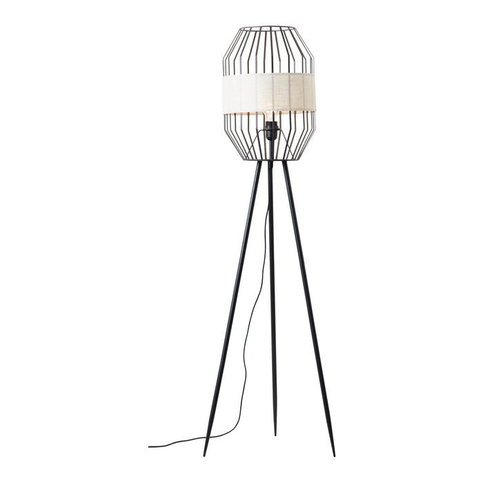 310711-x00.jpg (3233283)