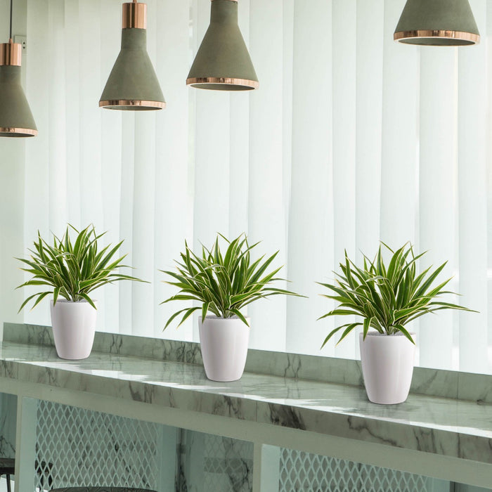 114d4c84-7cba-4256-bd07-a878567c5d6b-afbeelding10.jpg (3235024)