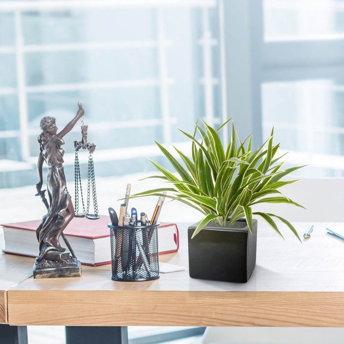 114d4c84-7cba-4256-bd07-a878567c5d6b-afbeelding9.jpg (3235031)