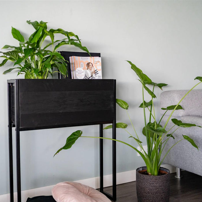 eb0839cd-5e19-4fb8-ab78-66b9d37c0345-afbeelding8.jpg (3248482)