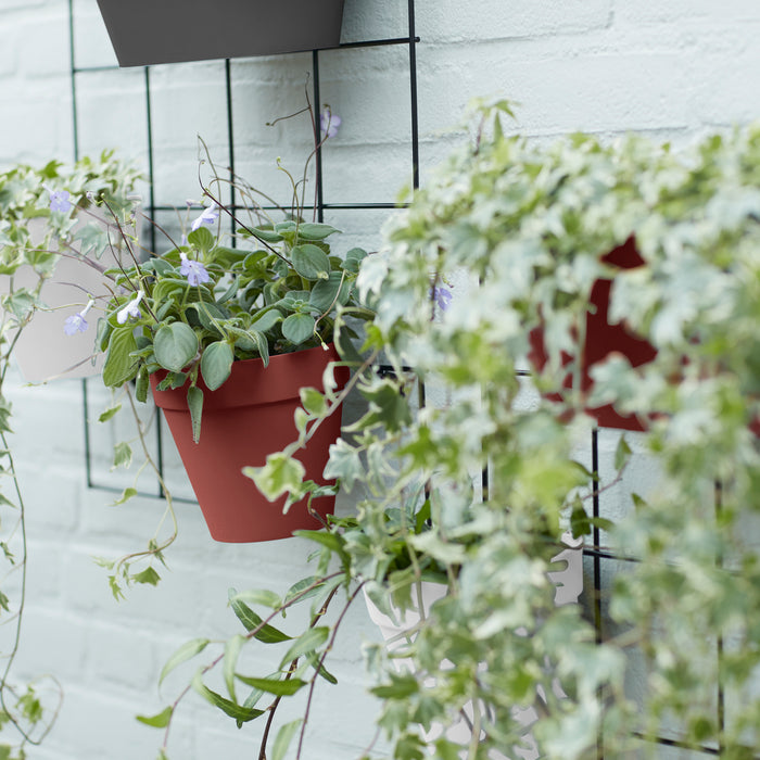 Elho Loft Urban Green Wall Single Bloempot 15 cm