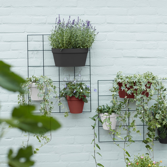 Elho Loft Urban Green Wall Single Bloempot 15 cm