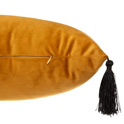 a0340461-caff-4d5c-9568-e15b2bd47c86-sfeerbeeld.jpg (3253382)