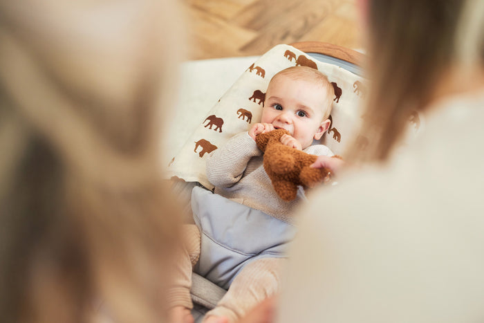 Jollein hydrofiel multidoek savannah groot (115 centimeter x 115