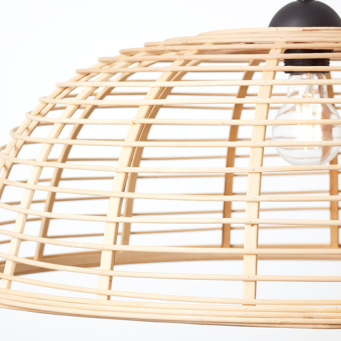 305721-x2.jpg (3260097)