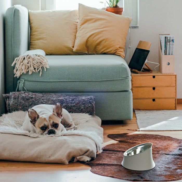 Alessi Wowl Voerbak Hond