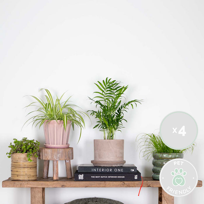 a5ed4a11-ff77-4468-9458-f2d1f2e55574-sfeerbeeld.jpg (3270212)