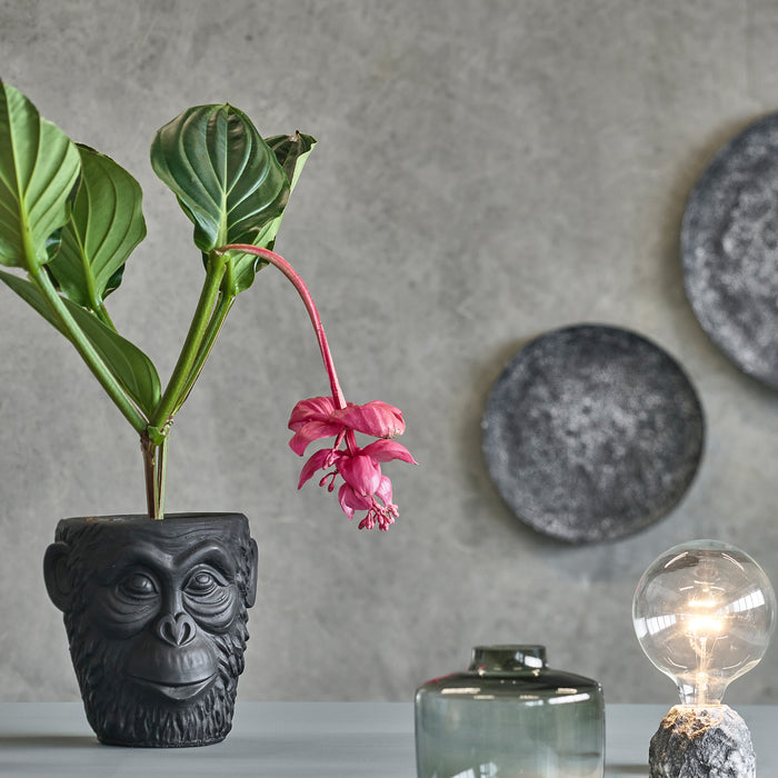 307725-x03.jpg (3270541)