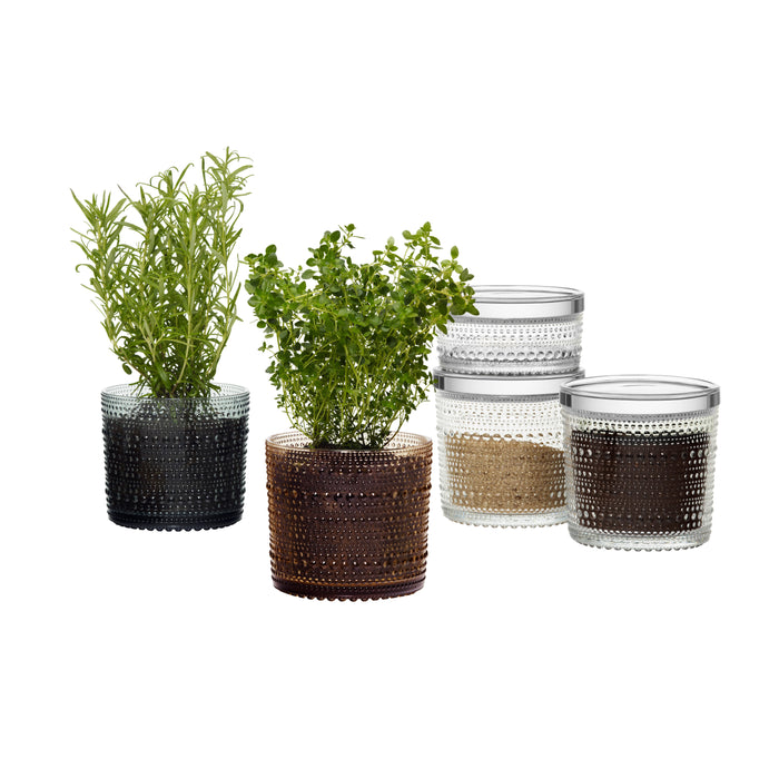 Iittala Kastehelmi Voorraadpot