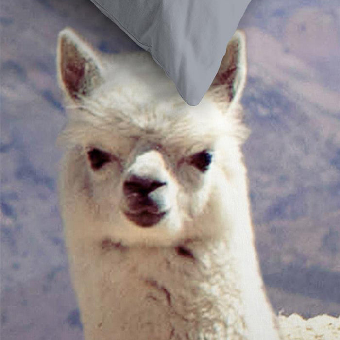 Ambiante Cusco Dekbedovertrek 200 x 200/220 cm - Multi