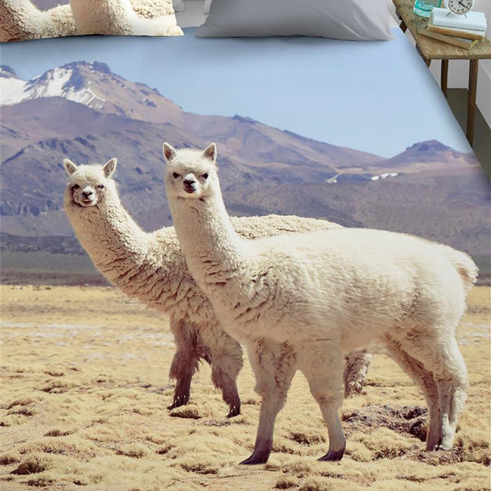 Ambiante Cusco Dekbedovertrek 200 x 200/220 cm - Multi