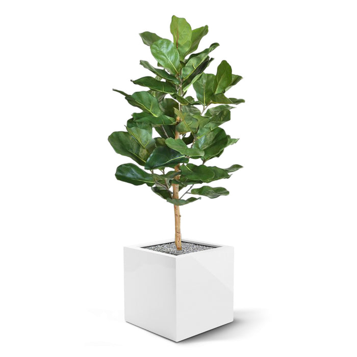 40f7924d-454d-4f74-a8d1-40c7af139993-afbeelding5.jpg (3291364)