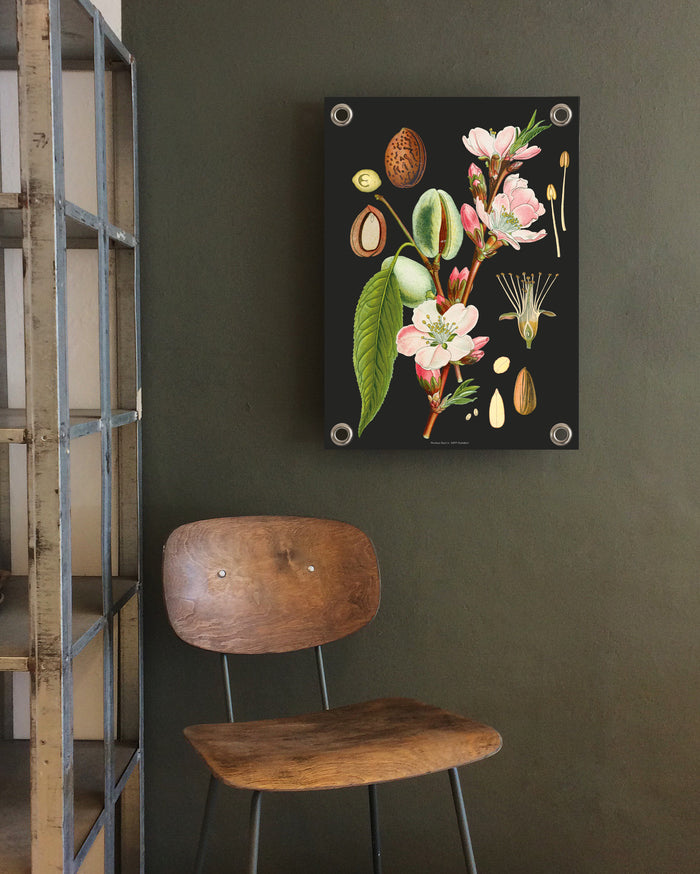 Villa Madelief Tuinposter botanisch amandel (70x100cm)