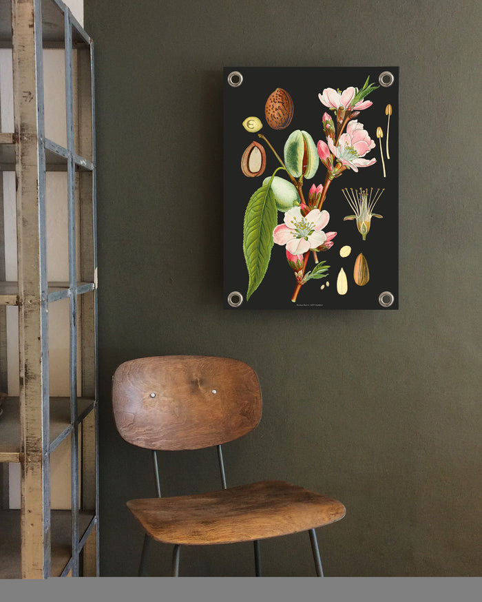 Villa Madelief Tuinposter botanisch amandel (70x100cm)