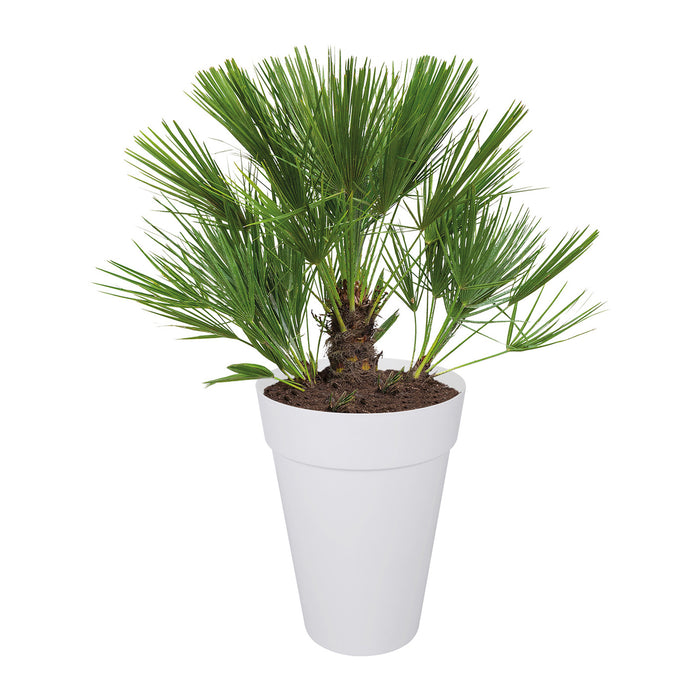 Elho Loft Urban Round High Bloempot 28 cm Wit