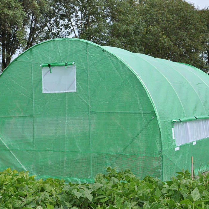 Royal Well Silver Rocket D12 Folietunnel