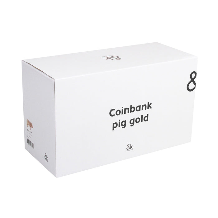 &k amsterdam Pig Spaarpot