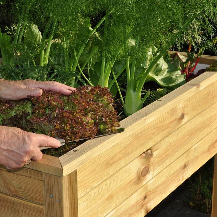 Royal Well Planter-On-Wheels Kweektafel