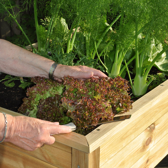 Royal Well Planter-On-Wheels Kweektafel