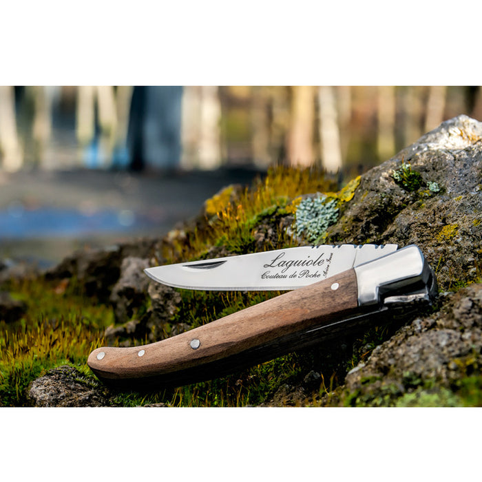 Laguiole Style de Vie Zakmes