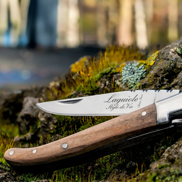 Laguiole Style de Vie Zakmes