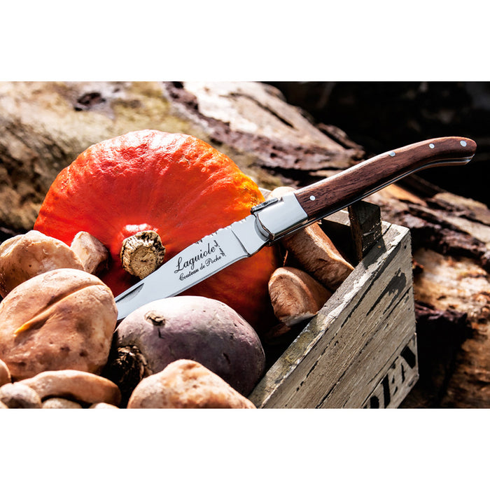 Laguiole Style de Vie Zakmes