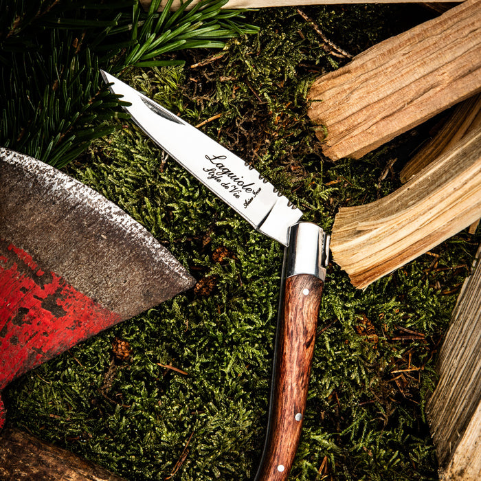 Laguiole Style de Vie Zakmes