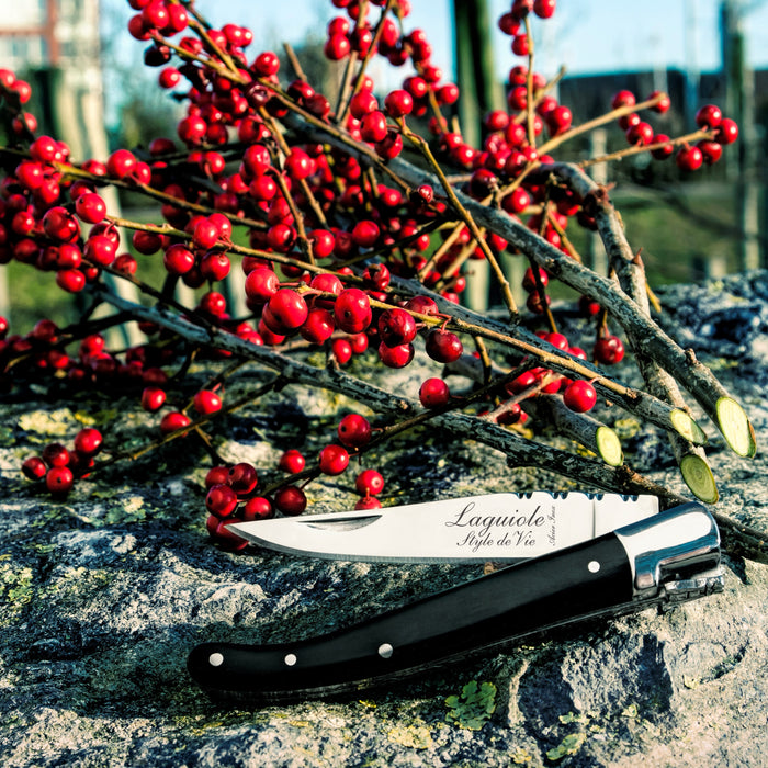 Laguiole Style de Vie Zakmes