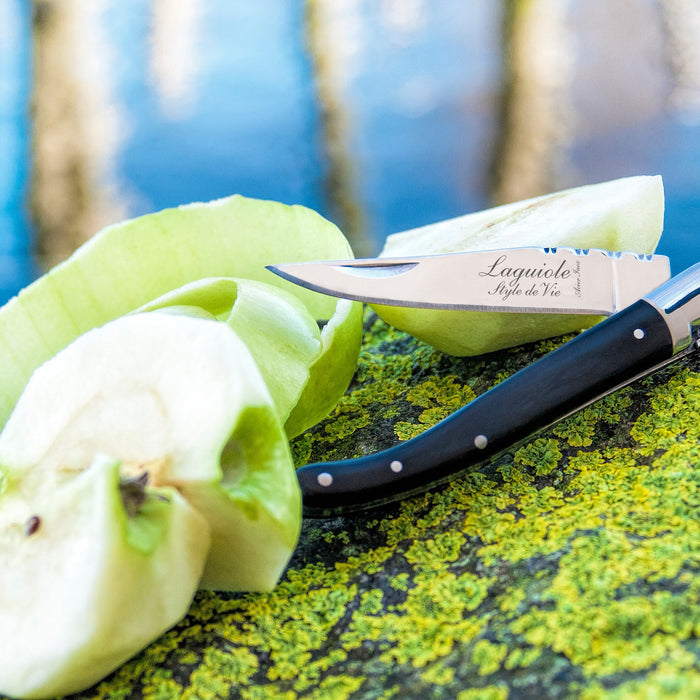 Laguiole Style de Vie Zakmes