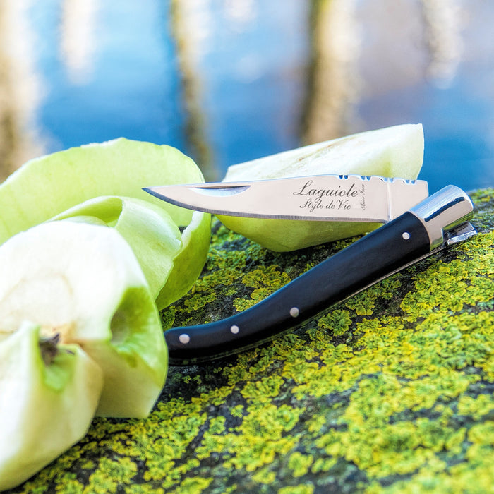 Laguiole Style de Vie Zakmes