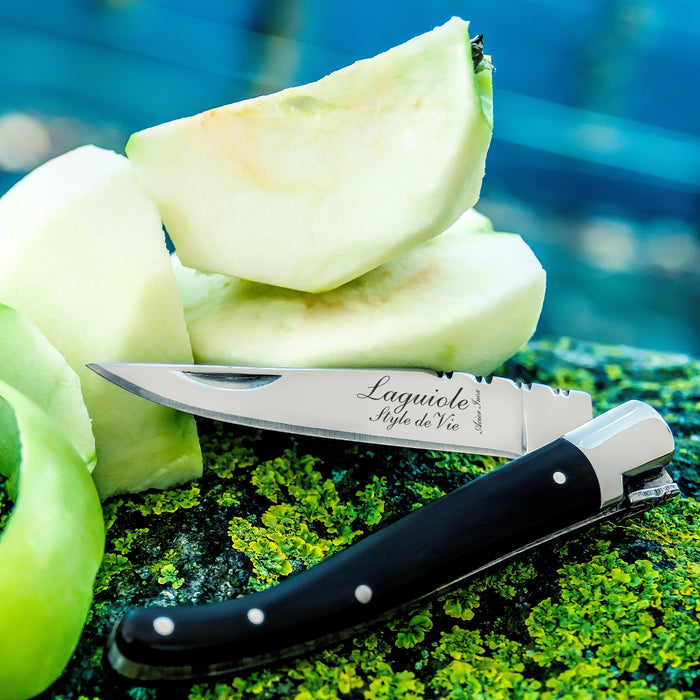 Laguiole Style de Vie Zakmes