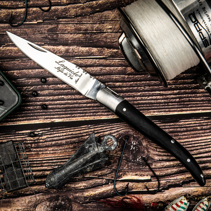 Laguiole Style de Vie Zakmes