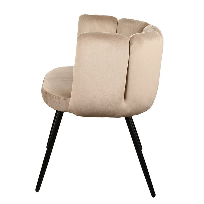 fd728704-b8c4-4a52-9262-d1b4cbf6ba71-afbeelding6.jpg (3360717)