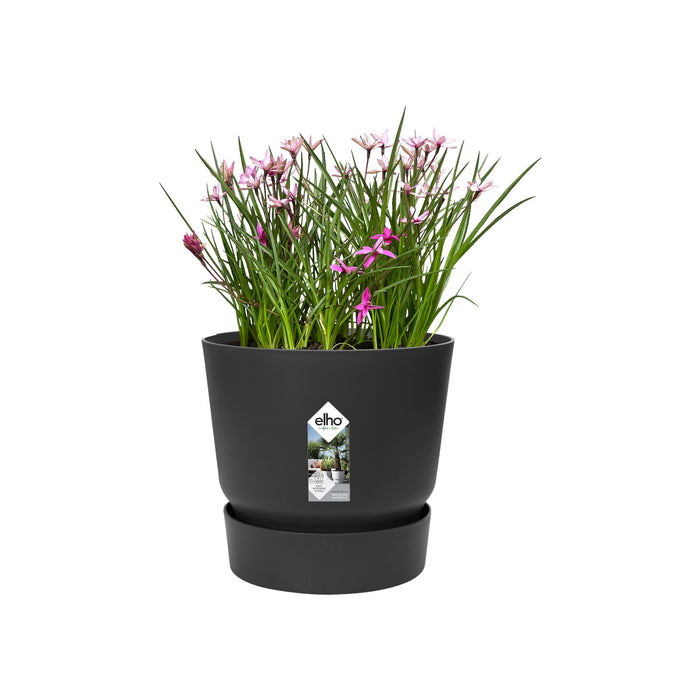 elho Greenville Bloempot 25 cm
