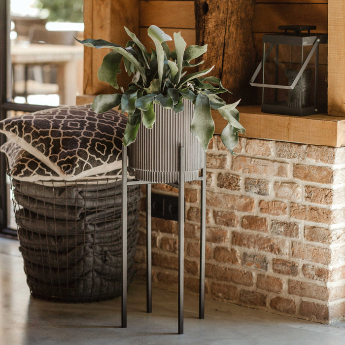 296764-x01.jpg (3375266)