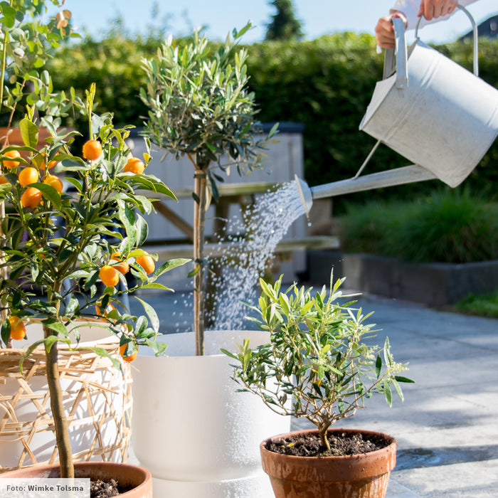 elho Greenville Bloempot 40 cm - 100% gerecycled kunststof