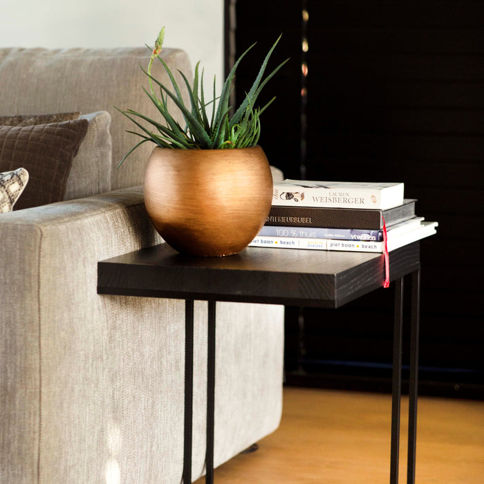 296768-x01.jpg (3386264)