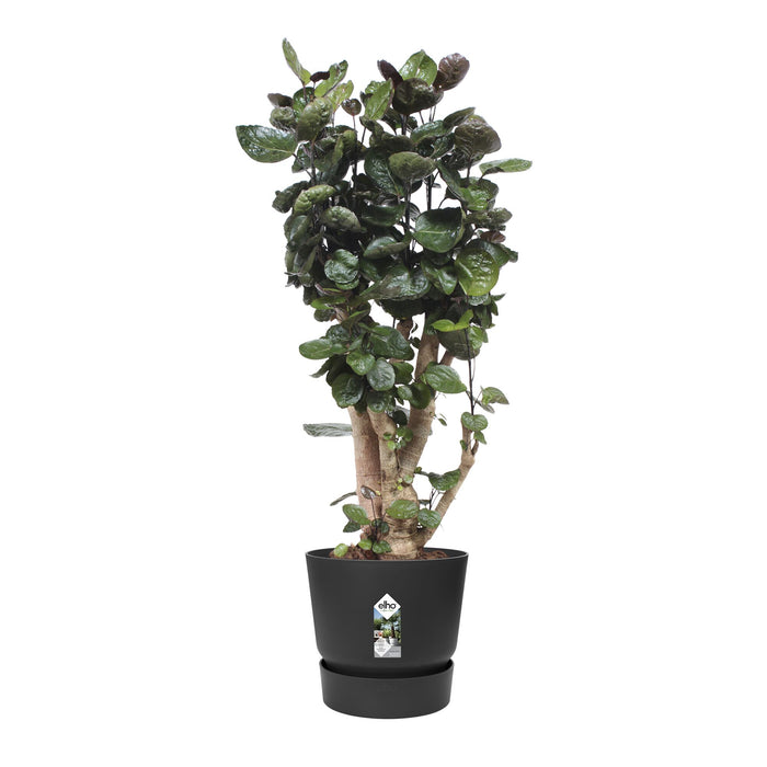 elho Greenville Bloempot 40 cm