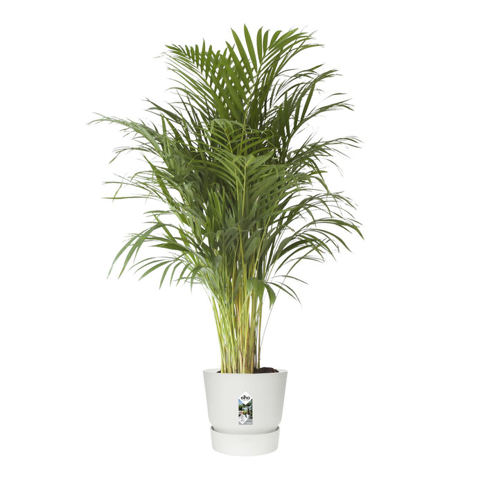 elho Greenville Bloempot 47 cm - 100% gerecycled kunststof