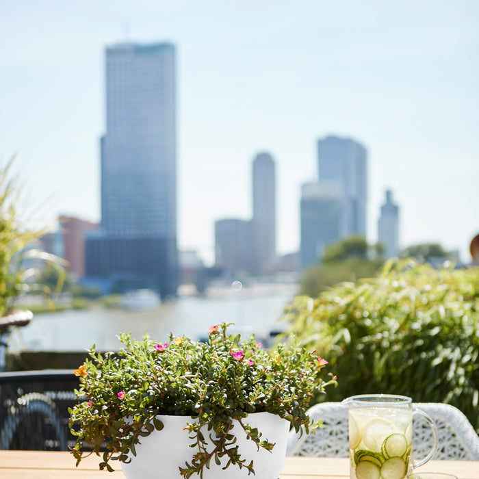 Elho Greenville Schaal 33 cm