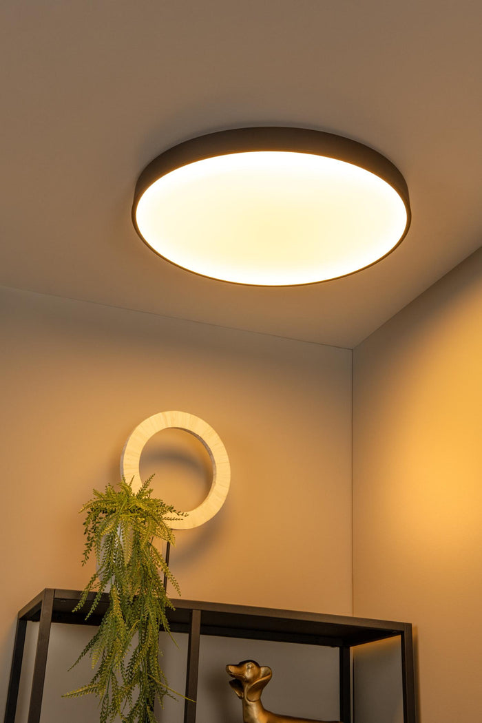 f8aa7b22-e52e-4af5-884e-8b8c833bd05f-afbeelding4.jpg (3407851)