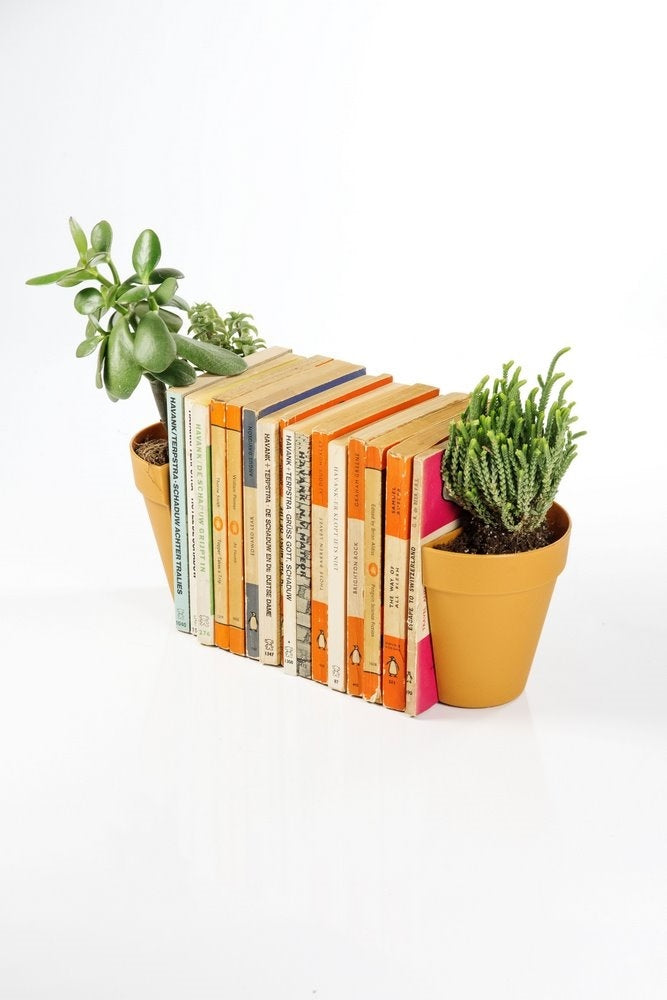 180779-4.jpg (3416630)