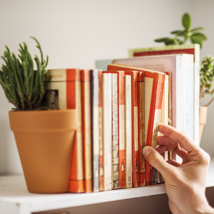 180779-x03.jpg (3416636)